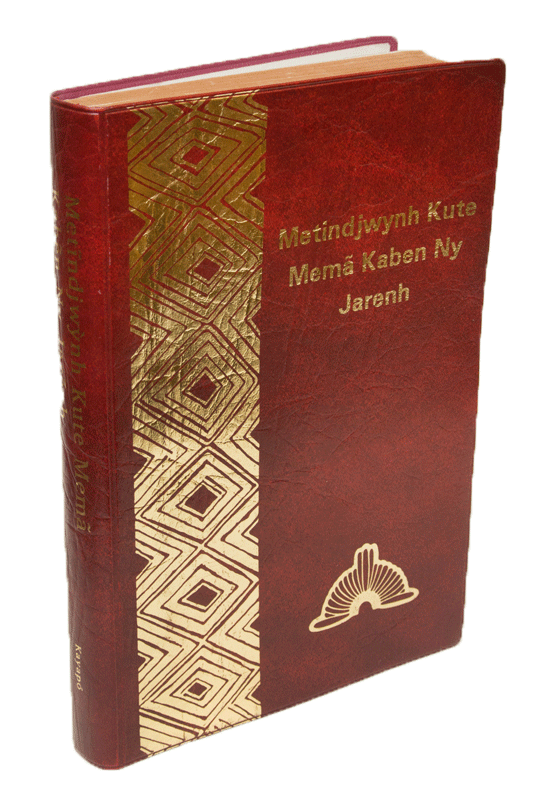 Kayapo Bible