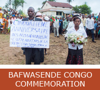 Bafwasende gallery