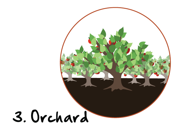 The Discipling Tree Series: Do Disciple-Makers Need the Church?